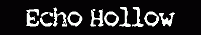 logo Echo Hollow